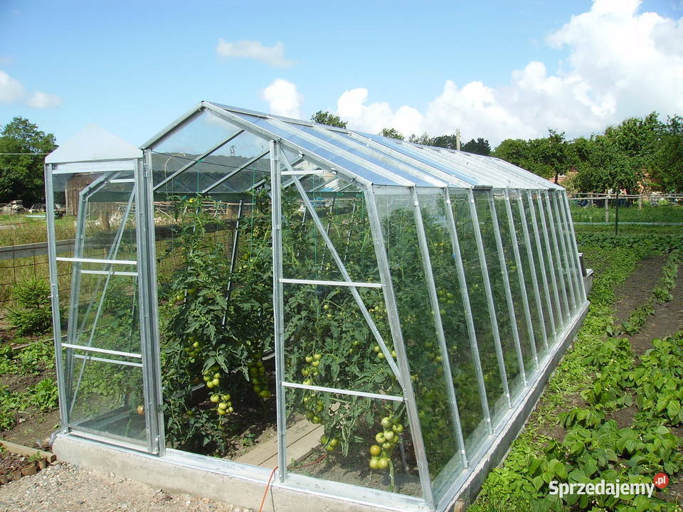 szklarnia Laura Łobez