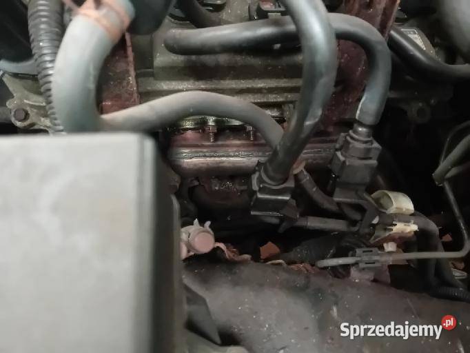 Toyota tacoma 345000km Rzeszów sprzedam