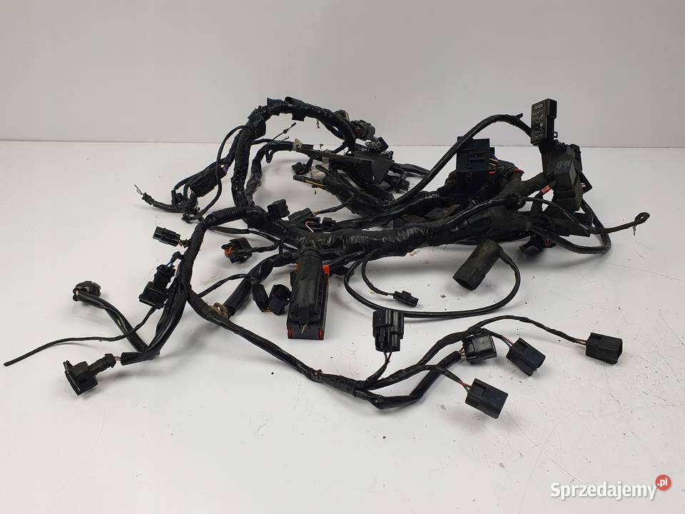 WIĄZKA ELEKTRYCZNA SILNIKA Triumph Speed Triple Chełm