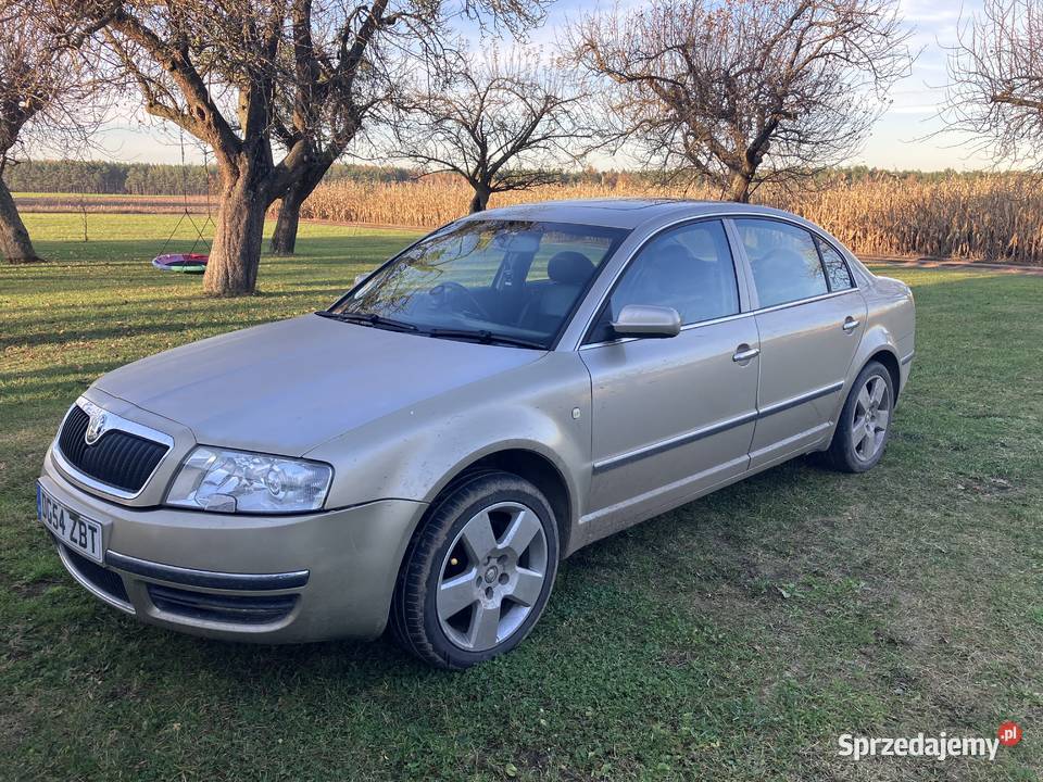 Skoda Superb 19 2005 Anglik bogtata wersja niski mazowieckie Ciechanów