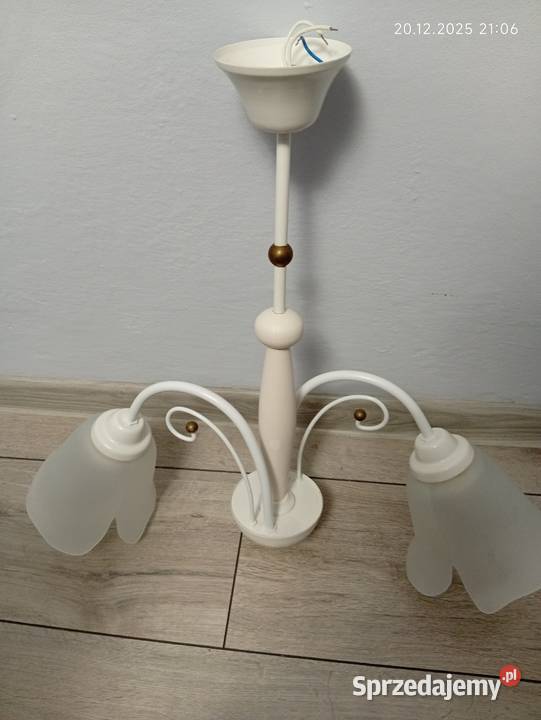 Żyrandol biały podwójny Lampy wiszące Kraśnik