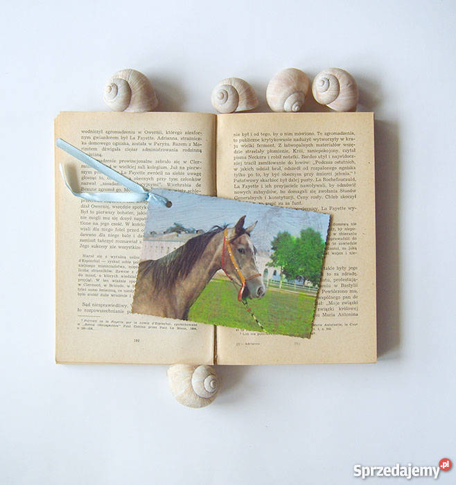 konie zakładka do książki zakładka z końmi Katowice