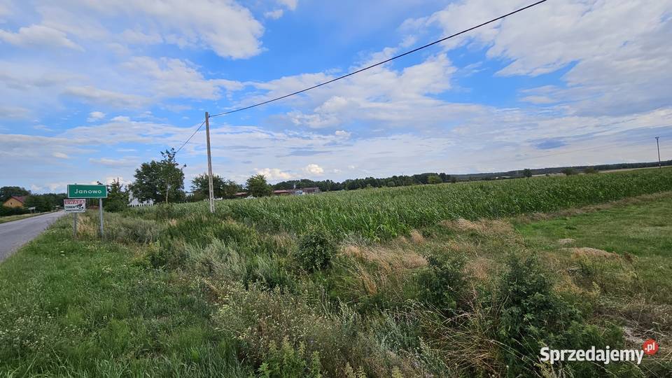 Działka asfalt Janowo