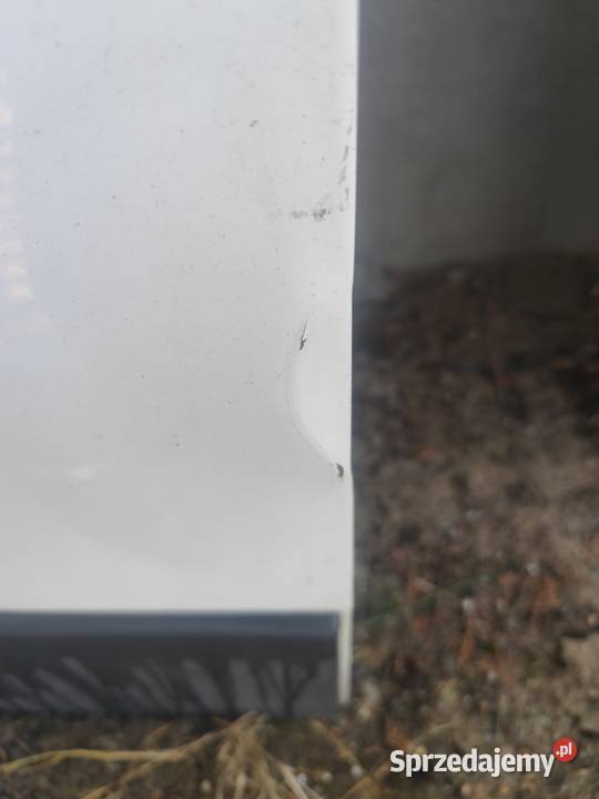 Drzwi tylne Fiat Ducato sprzedam