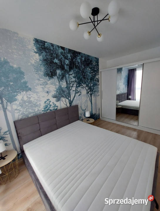 Komfortowe mieszkanie na wynajem Kraków Telimeny