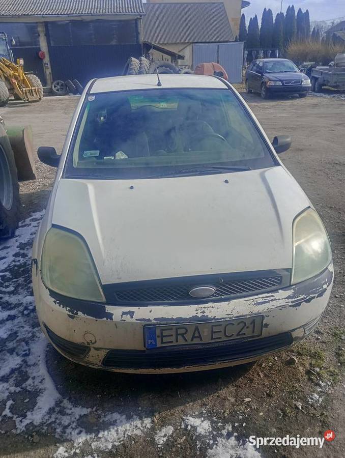Ford Fiesta Maluszyn