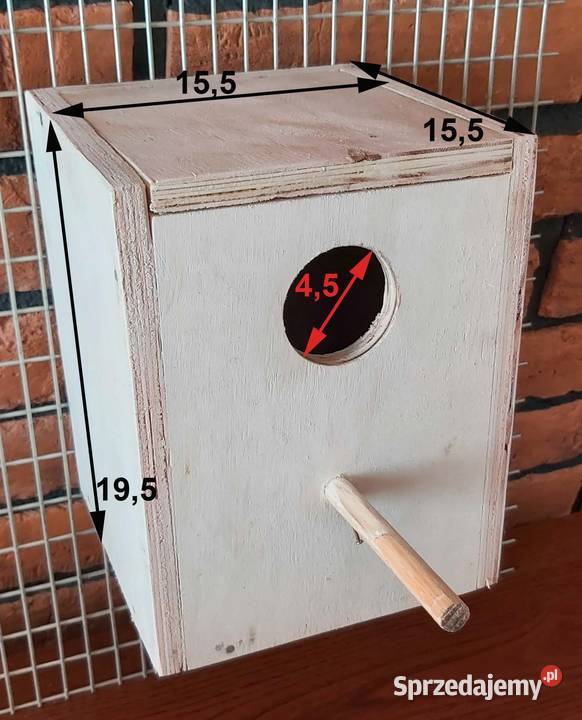 budka lęgowa śląskie Rybnik