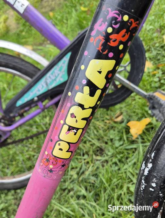 Składak Perła Wigry Gulcz