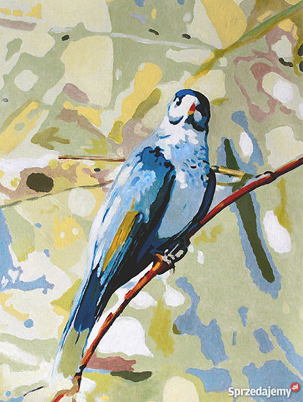 Obraz kolorowy z papugą namalowany ręcznie Malarstwo Warszawa