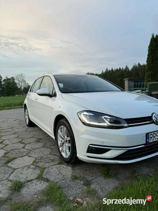 Golf 7 2019 16 tdi serwisowany ładny sprawny czujnik parkowania Sędziszów Małopolski
