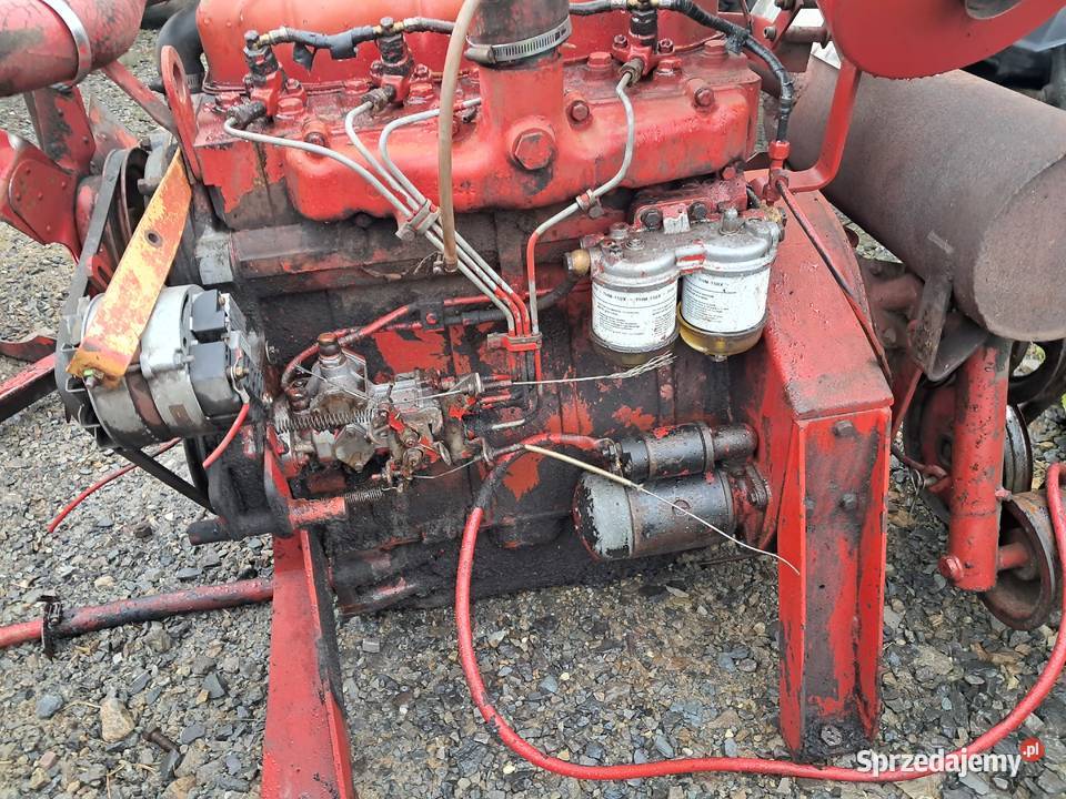 Silnik international case d 239 4 cylindrowy ihc mazowieckie