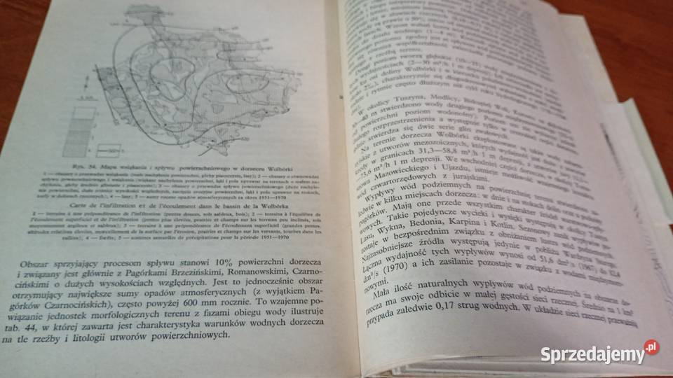 Hydrologia dorzecza Wolbórki Jadwiga Moszczyńska sprzedam