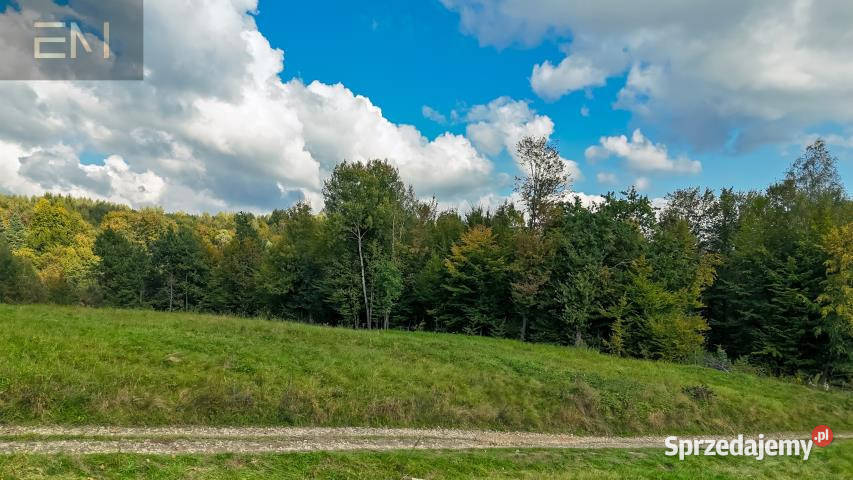 Działka 4000m2 Żyznów Sprzedaż podkarpackie