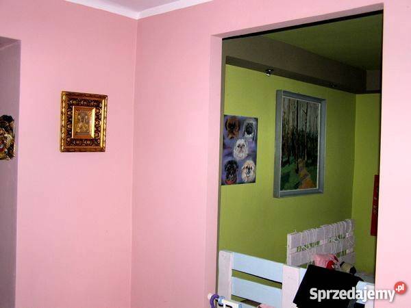 DOM Z KLIMATEM NA PIĘKNEJ DZIAŁCE OKOLICA Domy mazowieckie Staroźreby