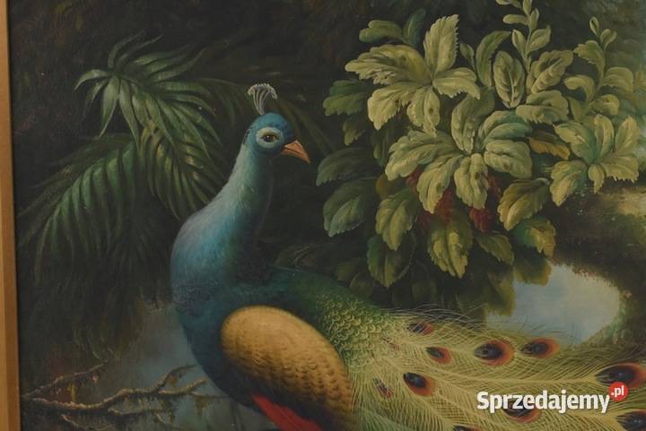 Dwa Kolorowe Pawie Na Drzewie Paw Obraz Olejny Kraków