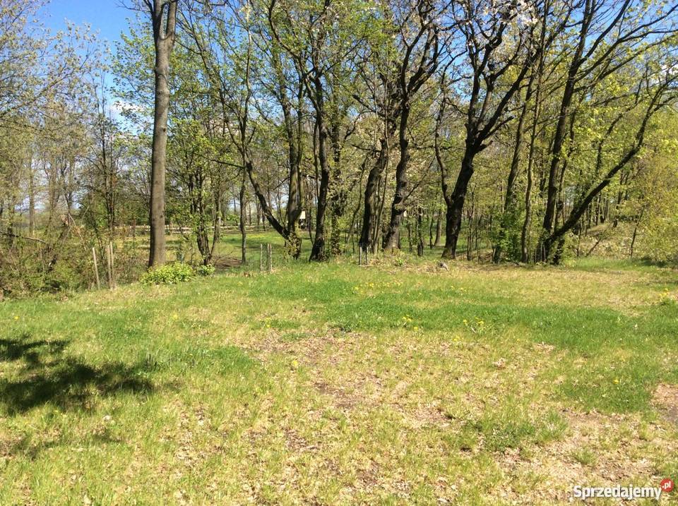 Działka jeziorem dolnośląskie Złotoryja