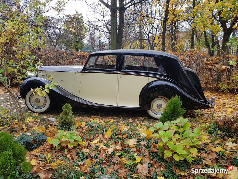 Rolls Royce Silver Wraith 1950 benzyna Łowicz