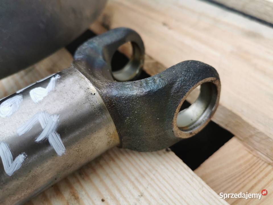 Zwolnica Sanderson Carraro Wilkowo