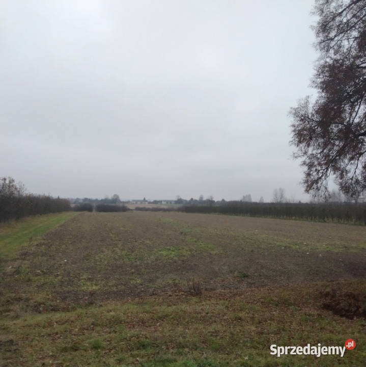 Ziemia inwestycyjna rolnobudowlana 202 ha trasie Białki Dolne sprzedam