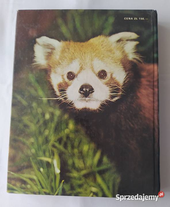 ZNAMY SIĘ Z WIDZENIA Zdenk Veselovsk album, atlas Poradniki, albumy i reportaże Hajnówka