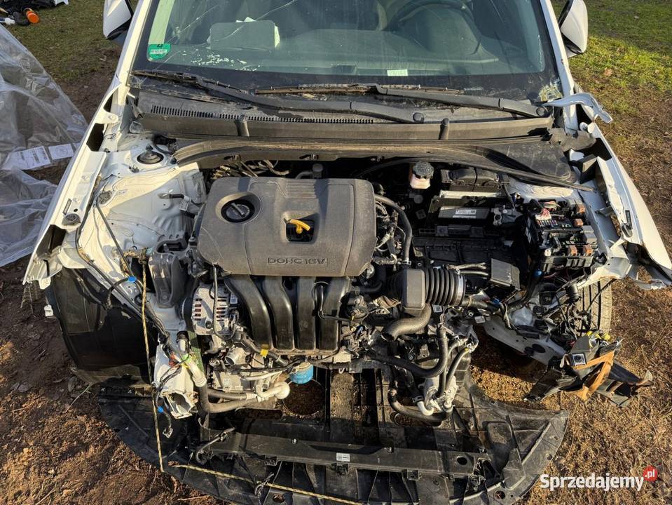 Huyndai Elantra 2019 20 Benzyna Automat Niski 149KM