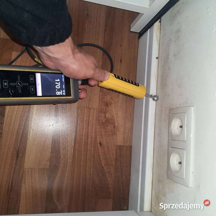 wycieków osuszanie odgrzybianie Gdańsk