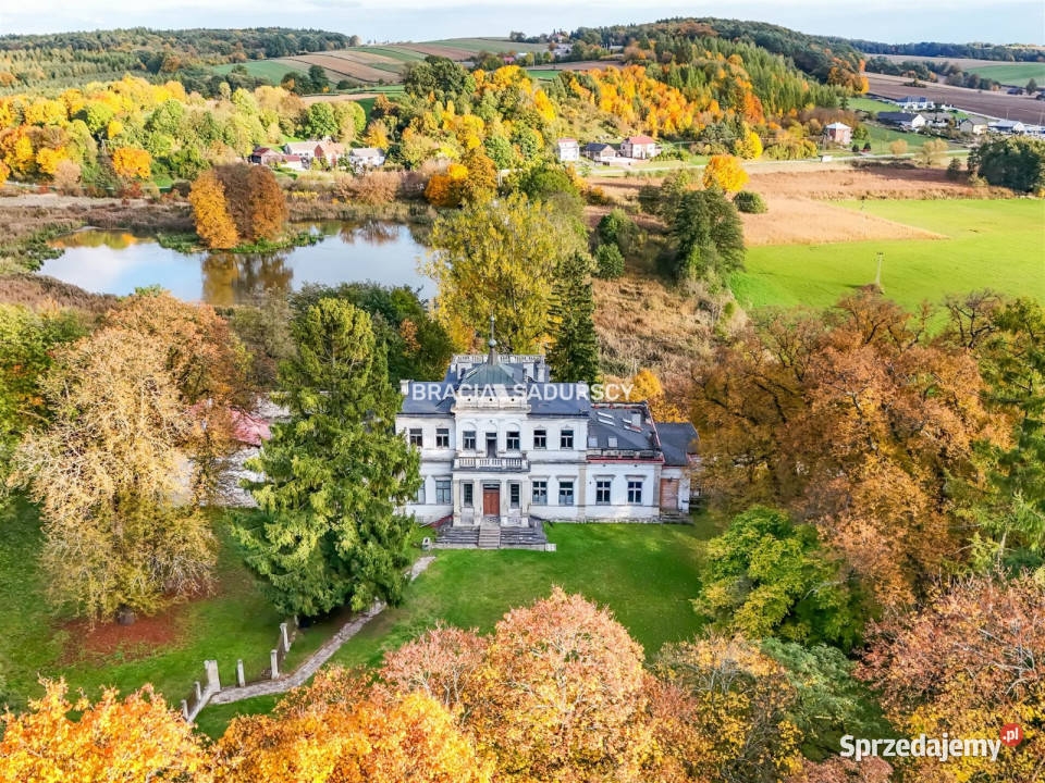 Sprzedam lokal Działoszyce 982m2