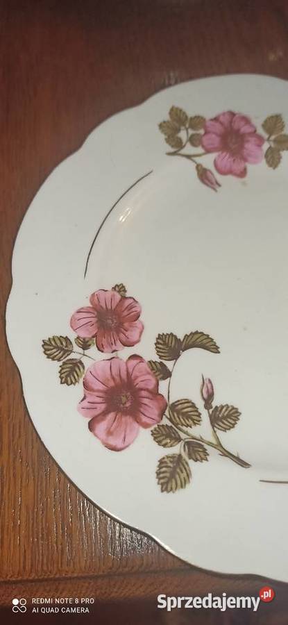 Talerzyk deserowy Ćmielów Made in Poland Z Gdańsk sprzedam
