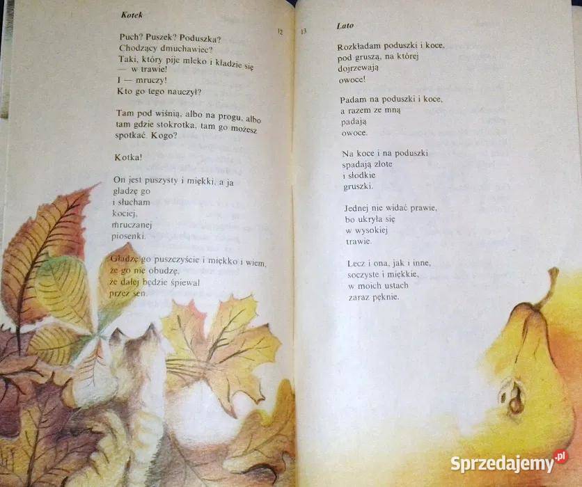 Puchy puszki i poduszki Tadeusz Wyrwa Krzyżański miękka Pozostałe Chełm