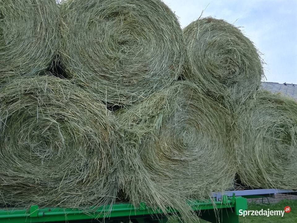 Sprzedam siano kostka i rolka Pozostałe Turobin