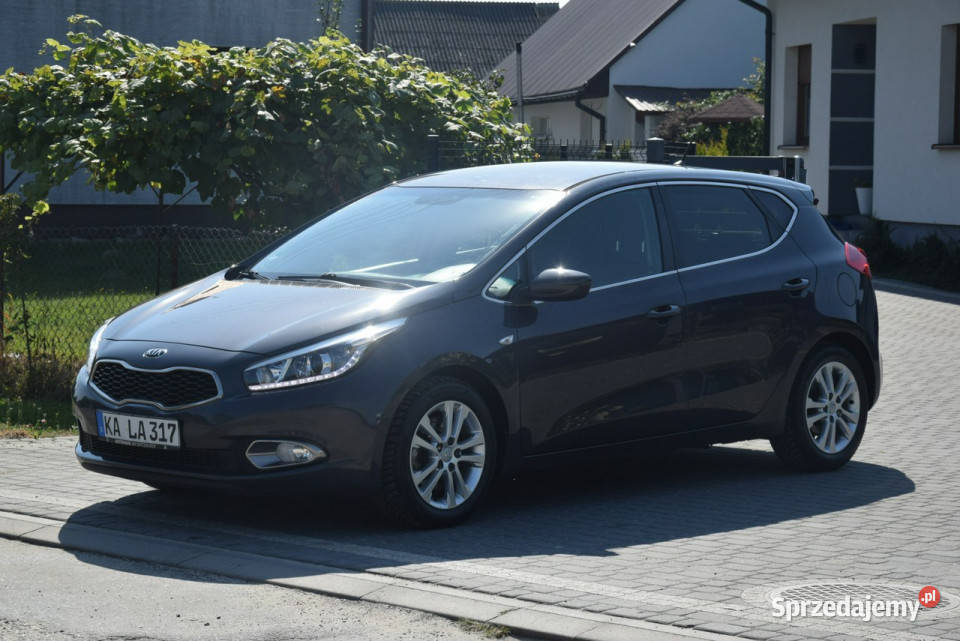 Kia Ceed 14B Navi Kamera 2014r Oryginał lakier serwisowany w ASO Kia Majdan Sieniawski
