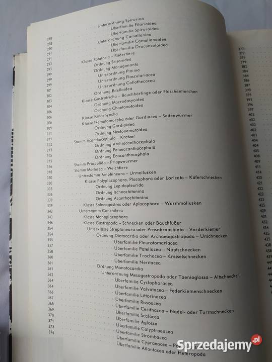 URANIA TIERREICH Protozoa bis Echiurida podlaskie Hajnówka