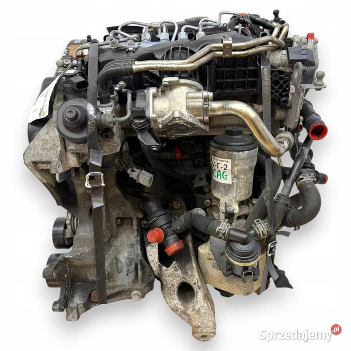 SILNIK CAG CAGA Audi A4 B8 Q5 8R A5 8T Seat Exeo Chełm sprzedam
