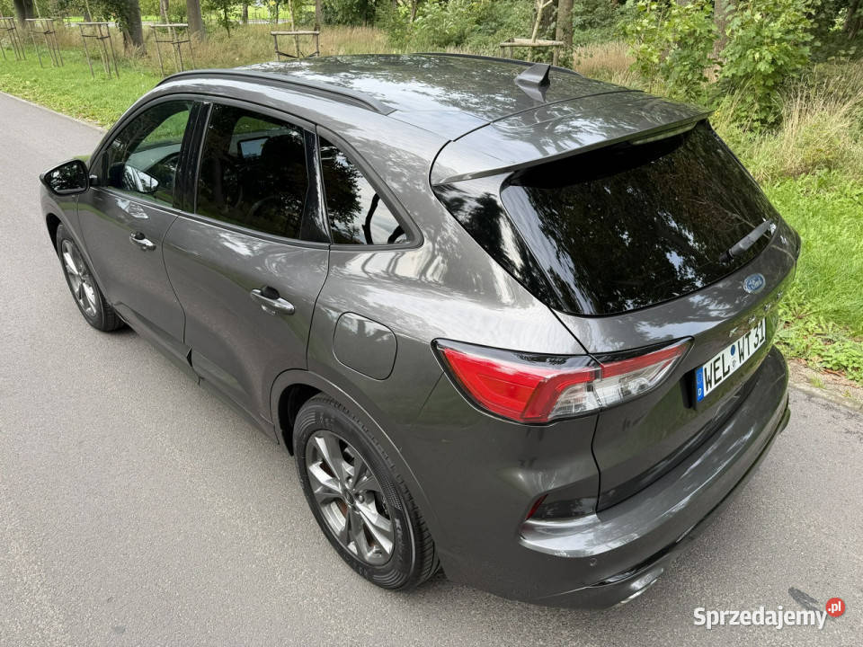 Ford Kuga MK3 15 EcoBlue TDCI STLine 2020 FULL Kuga Józefkowo