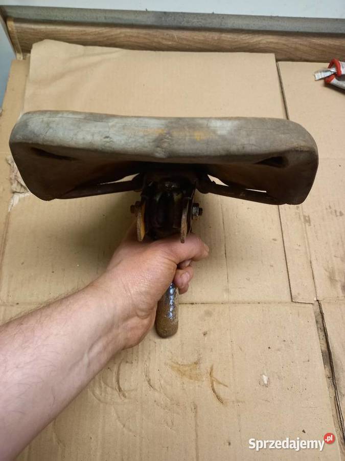 Siedzenie komar sztywniak Sokołów Podlaski