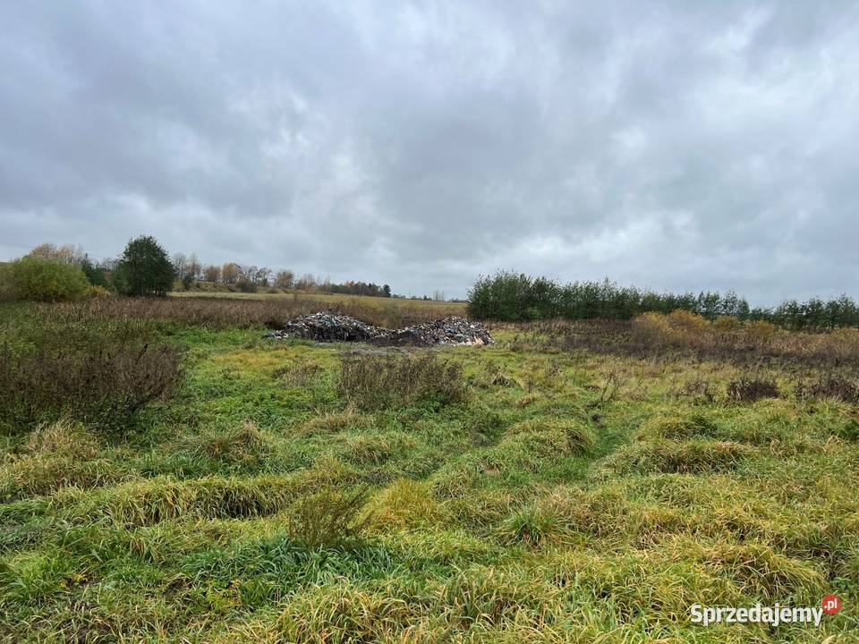 Syndyk sprzeda 12 nieruchomości Cimoszki gm