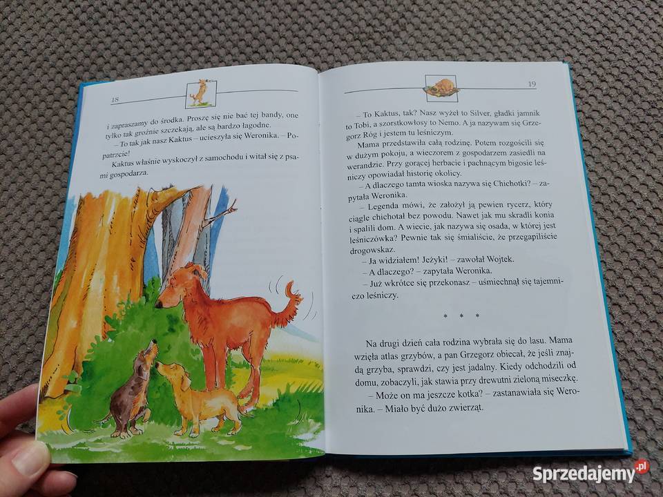 Kaktus wierby przyjaciel Barbara Gawryluk małopolskie Kraków