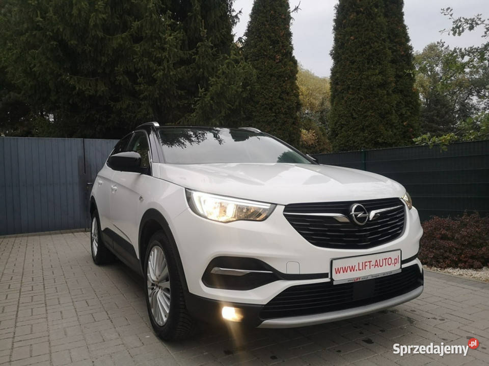 Opel Grandland X 15 TD 130 Klimatr Temp Parktr wspomaganie kierownicy Strzegom