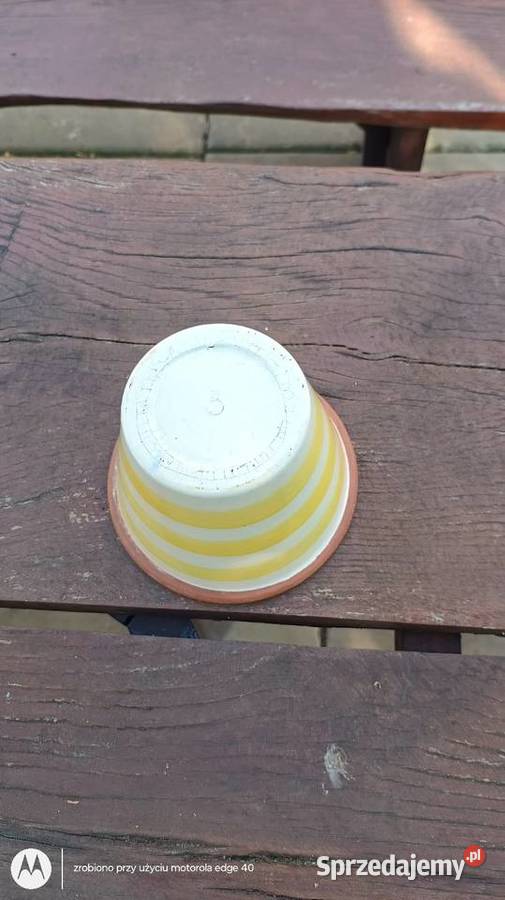 Donica włoska Ciechanów