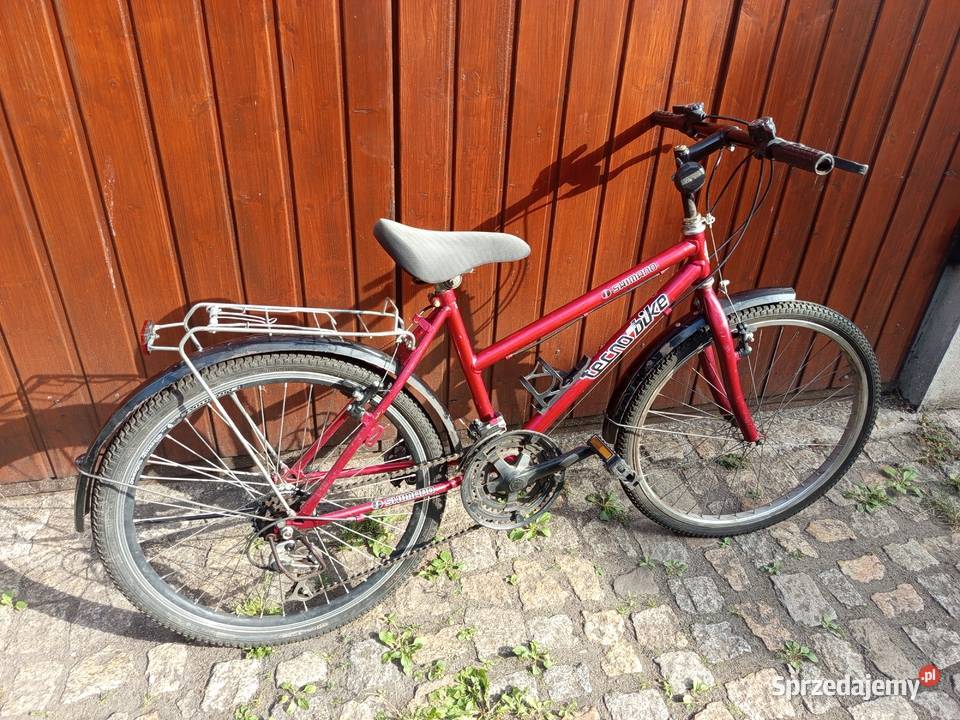 Rower Tecno Bike 24