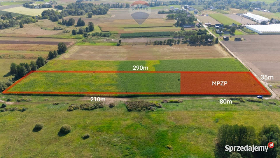 Duża działka z MPZP 1 ha Rębków