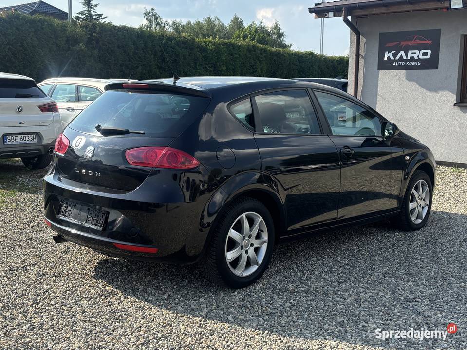 Seat Leon Paniówki