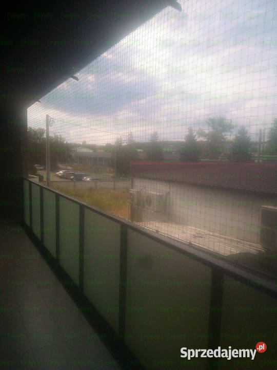 Siatka kota na balkon bez wiercenia Warszawa