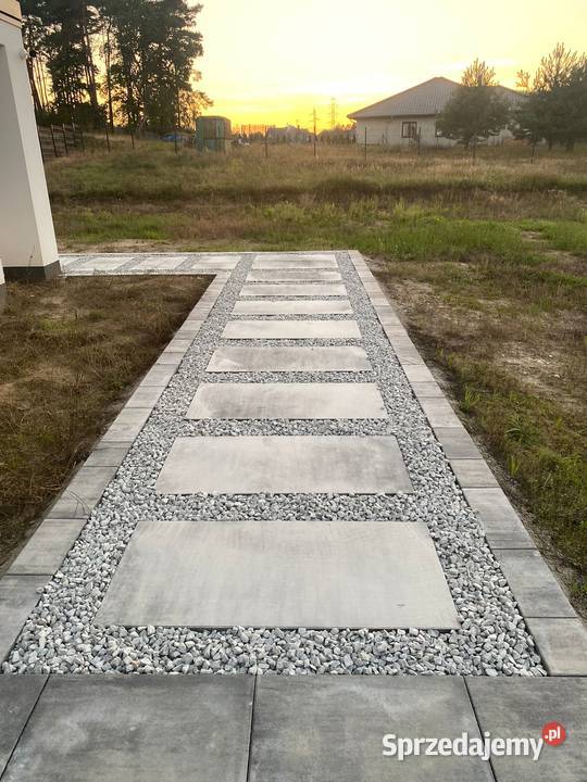 Grys granitowy Dalmatyńczyk
