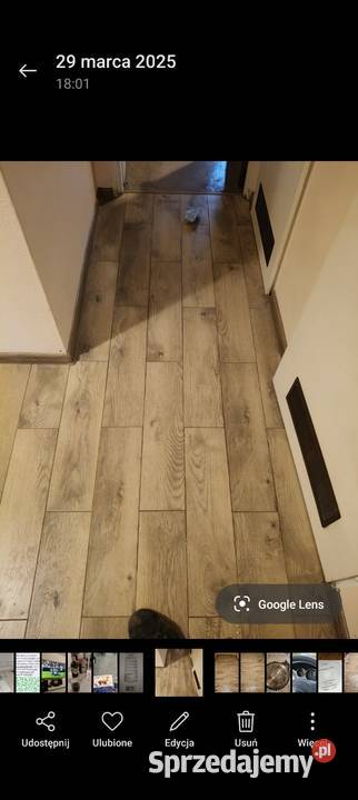 Usługi budowlane Włocławek