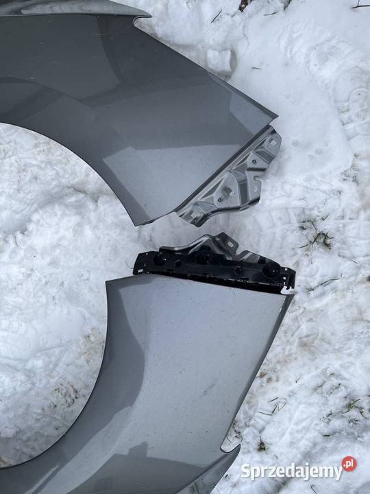 Nissan leaf Błotnik lewy prawy wielkopolskie Poznań