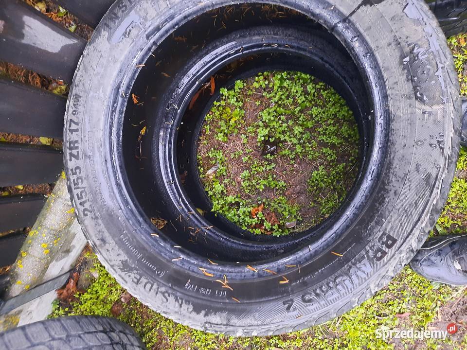 2 opony zimowe Bridgestone 2155517 bieżnik 6mm 4 Damiany