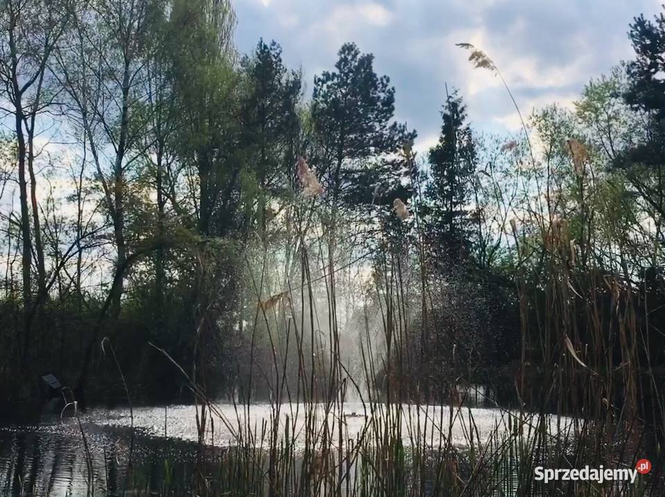 Fontanna do stawu pompa dysza fontannowa Raszyn