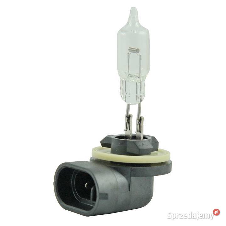 Żarówka 862 12V375W LED LS MT125 LS MT335 LS podkarpackie Tajęcina