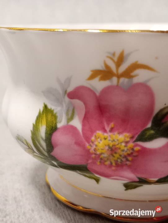ROYAL ALBERT Cukiernica Prairie Rose Róża Stargard